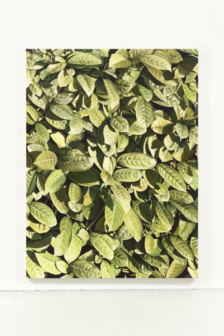 Sunset (Wall of Leaves) (2024), 200 x 150 cm, oil on linen